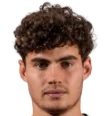 Nicholas Defreitas-Hansen