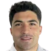Nicolás Ibañez