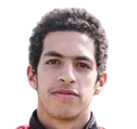 Mostafa Shobeir
