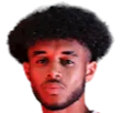 Romal Palmer