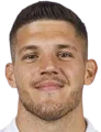 Emir Karic