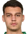 Mitja Krizan
