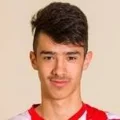 Hrvoje Ilic