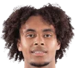 Joshua Zirkzee