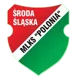 Polonia Sroda Slaska