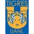 Tigres UANL U19