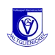 VSG Altglienicke