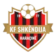 Shkendija Haracine
