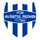 Avantul Reghin