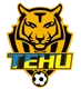 Nanjing Tehu Football Club