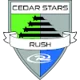 Cedar star