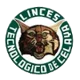 Celaya Linces