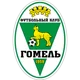 FC Gomel