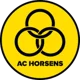 Horsens U19