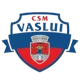 CSM Vaslui