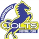 Cumbernauld Colts