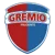 Gremio Prudente