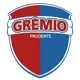 Gremio Prudente