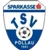 TSV Sparkasse Pollau