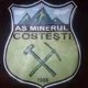 Minerul Costesti