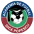 Academia Gica Popescu U19