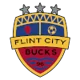 Flint City Bucks