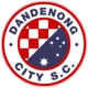 Dandenong City SC