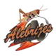https://img.sportdb.live/livescore-img/team/3beff6c4cd987d7f6b4470a0f0c05479.webp!h80