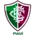 Fluminense PI (Youth)