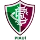 Fluminense PI (Youth)