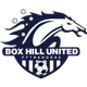 Box Hill United SC