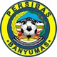 Persibas Banyumas