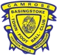 Basingstoke Town