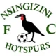 Nsingizini Hotspurs