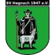 SV Hegnach Women