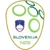 https://img.sportdb.live/livescore-img/team/55d7d349b271546b4e202e3aec924e84.webp!h50