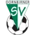 Dornbirner SV