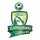 Elmina Sharks