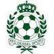 Dessel Sport