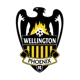 Wellington Phoenix Reserve