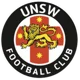 UNSW FC (W)