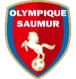 Saumur OL