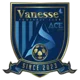 Sejong Vanesse FC