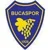 Bucaspor 1928