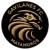 Gavilanes FC Matamoros