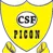 CSF Picon