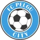 Pelgu City