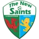 The New Saints (w)