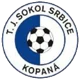 TJ Sokol Srbice