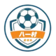 Shanghai Jinshanwei Bayi Village Football Team